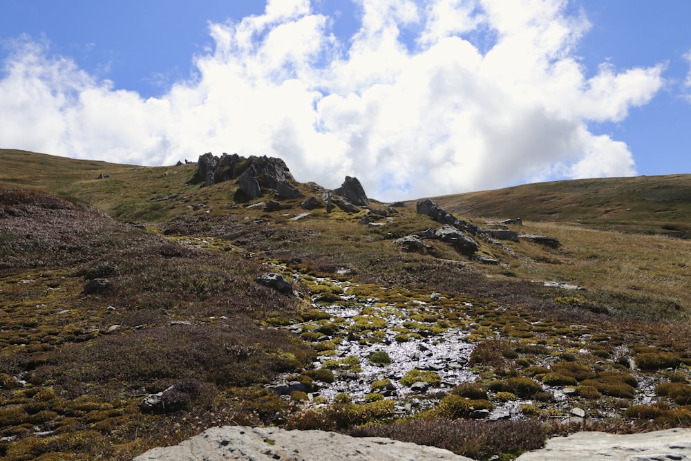 une colline herbeuse avec des rochers et des plantes qui poussent dessus