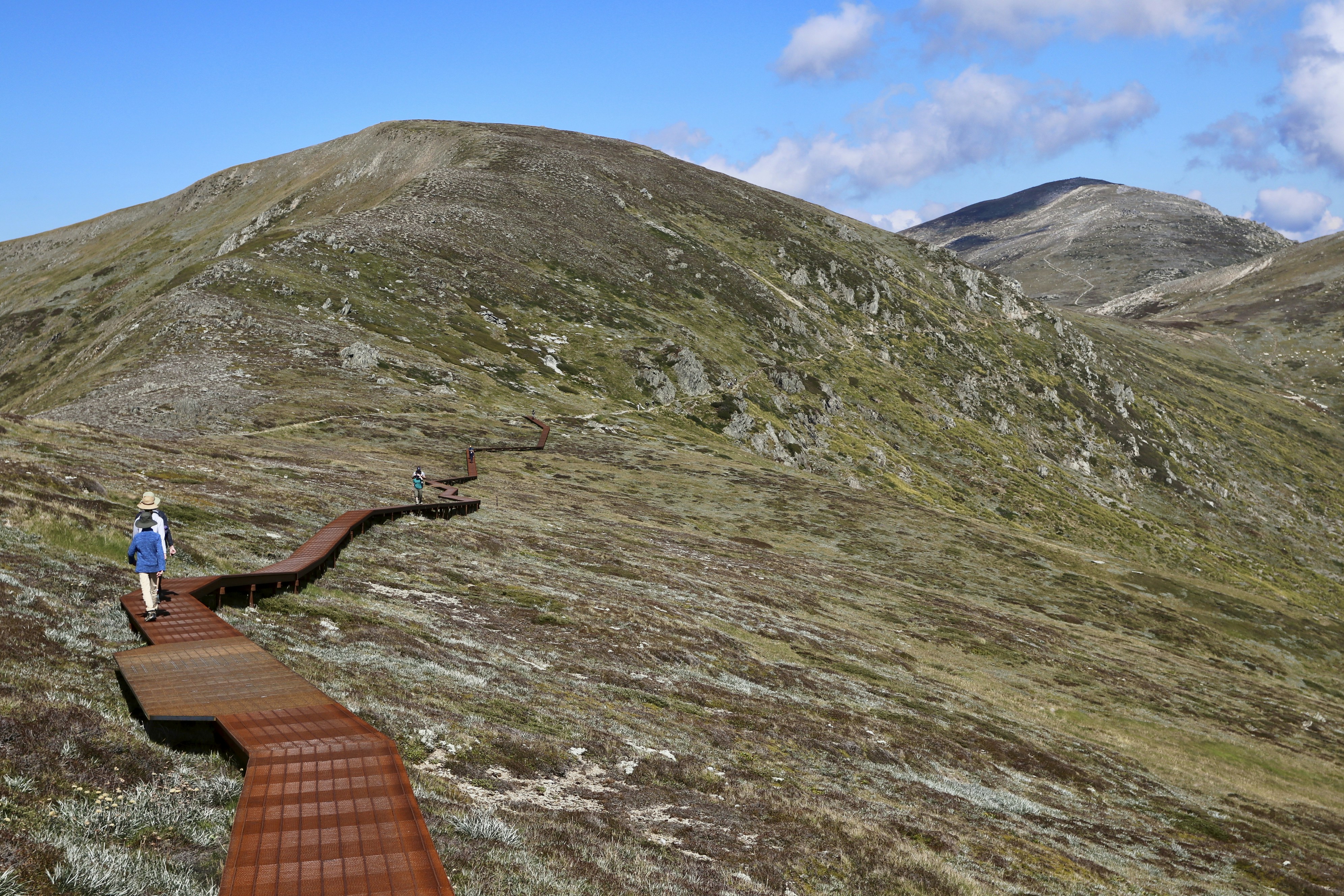 a woman standing on top of a wooden walkway
