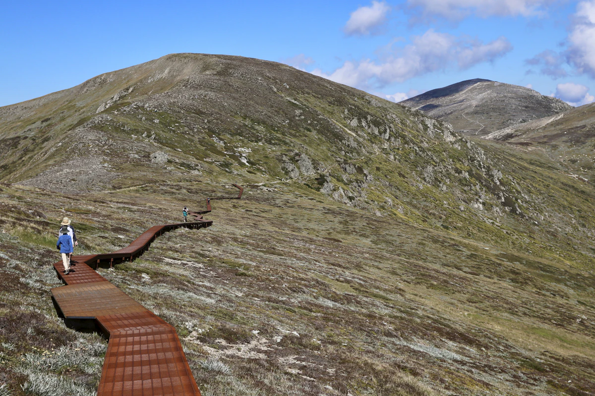 A walker on a raised metal walkway across alpine grassland on the Main Range Track, below a rounded ridge