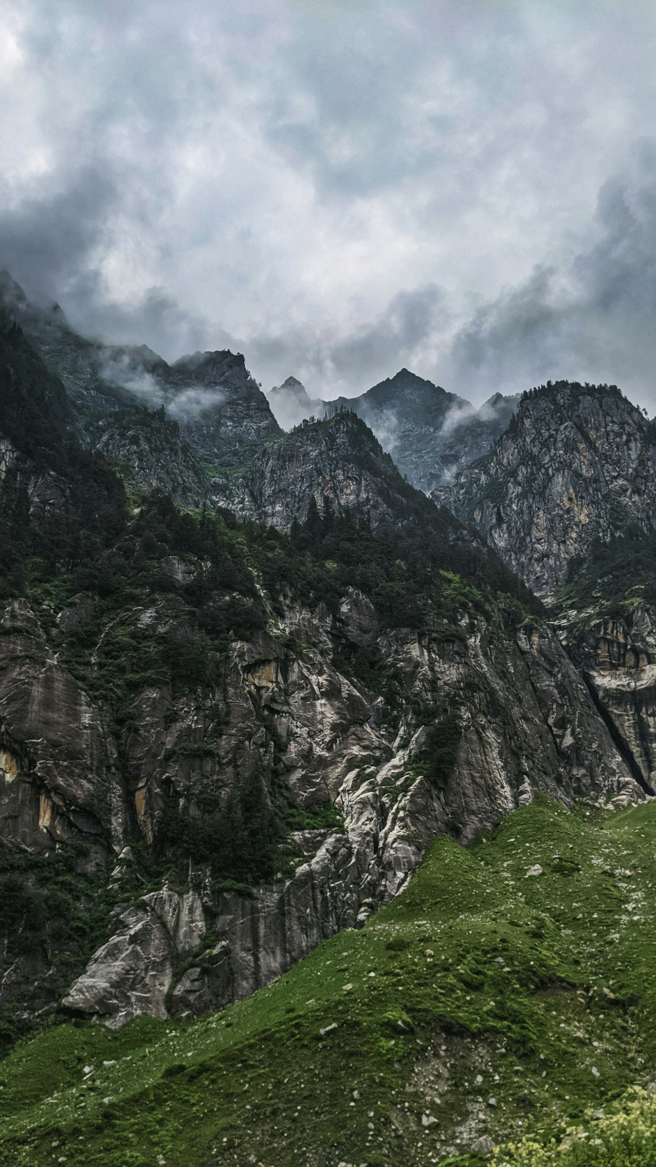 Photo by gs_consequat