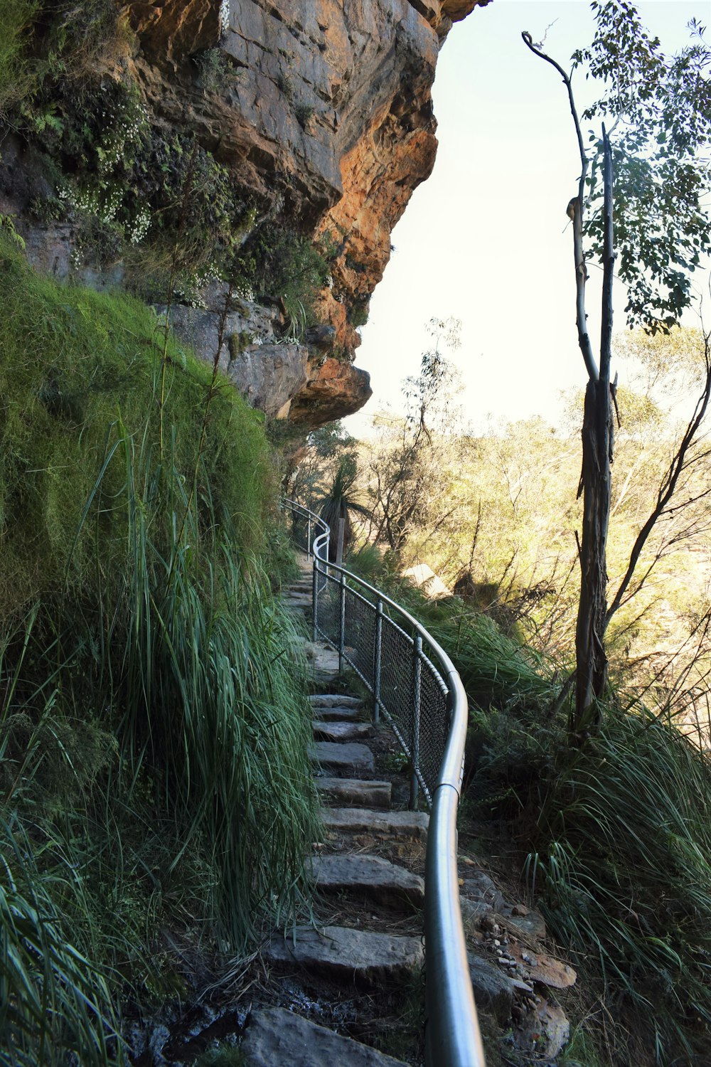 a set of stairs leading up to a cliff