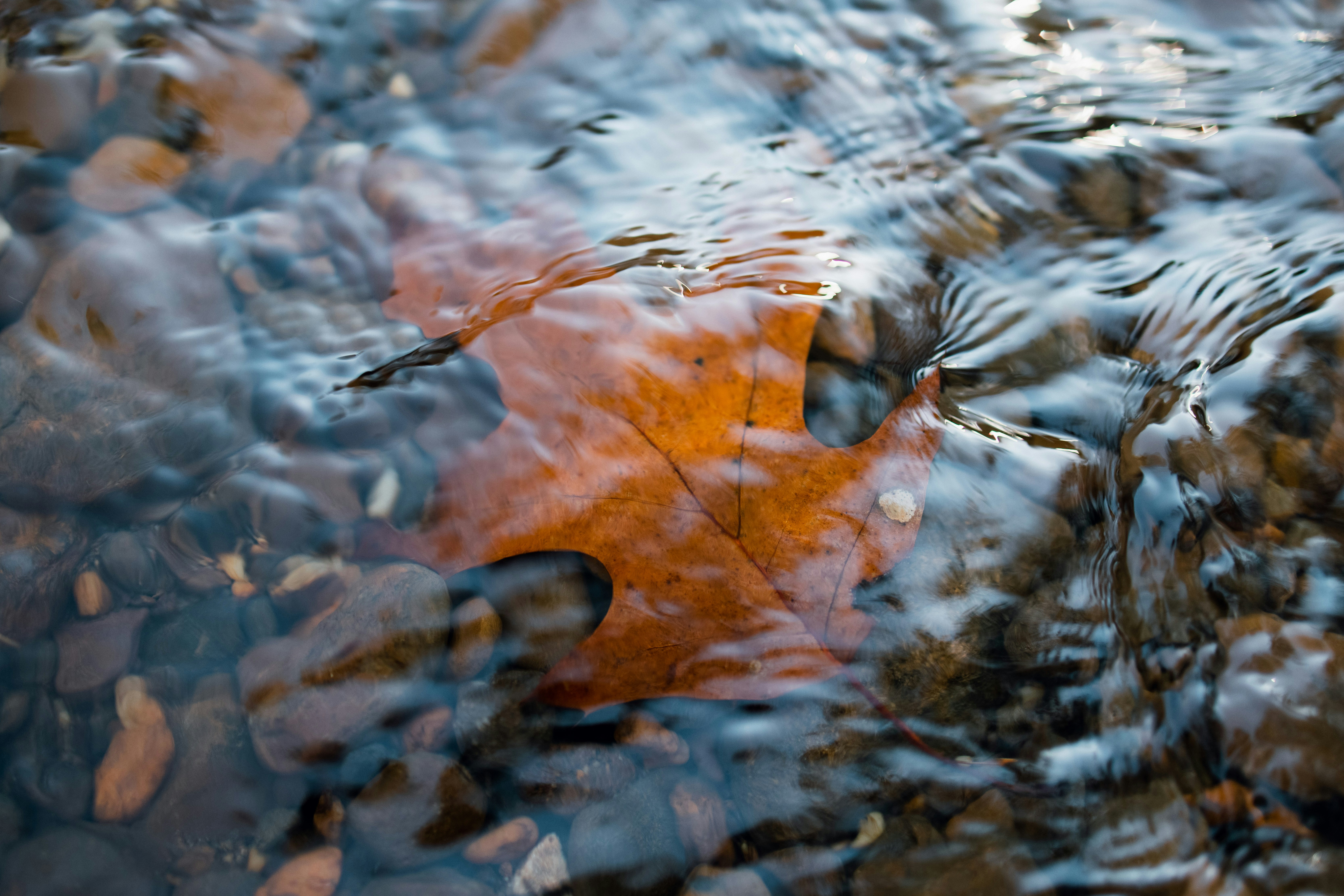 Fall River cityscape