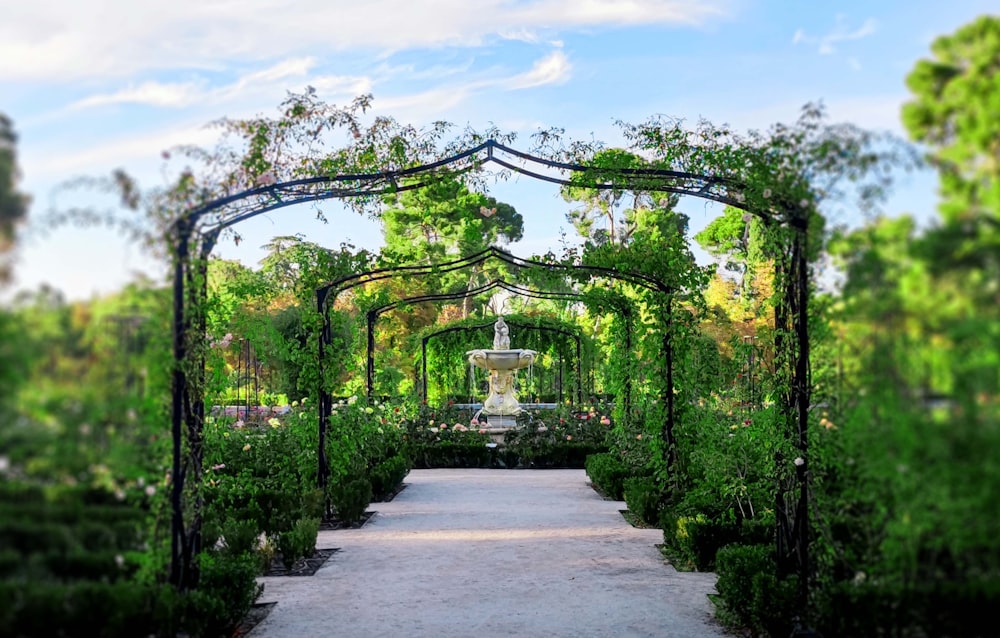 un jardin avec une fontaine au milieu