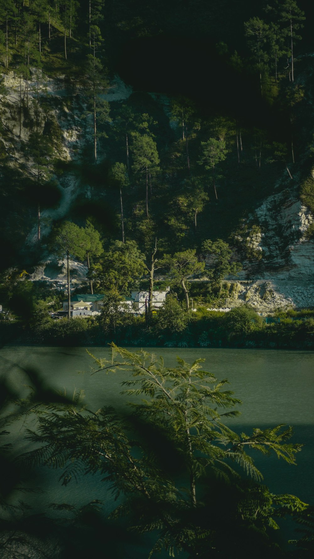 a view of a body of water surrounded by trees