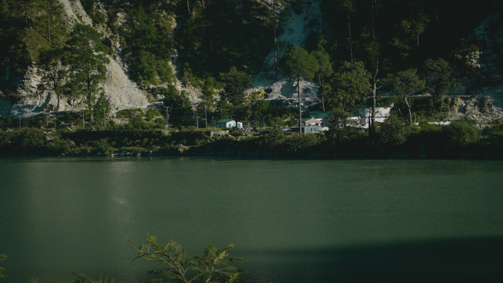 a body of water surrounded by mountains and trees