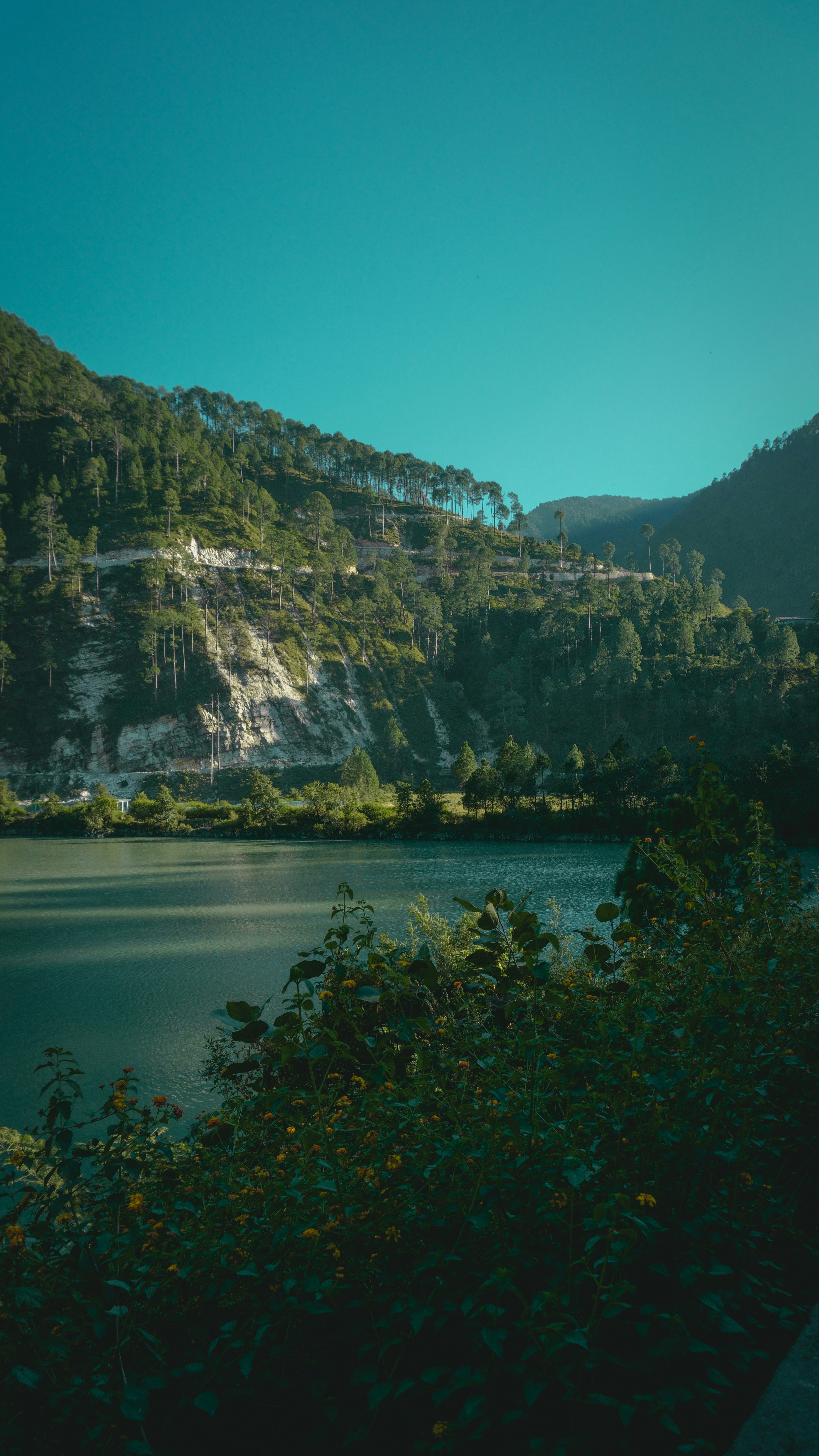 Photo by neerajnegi174