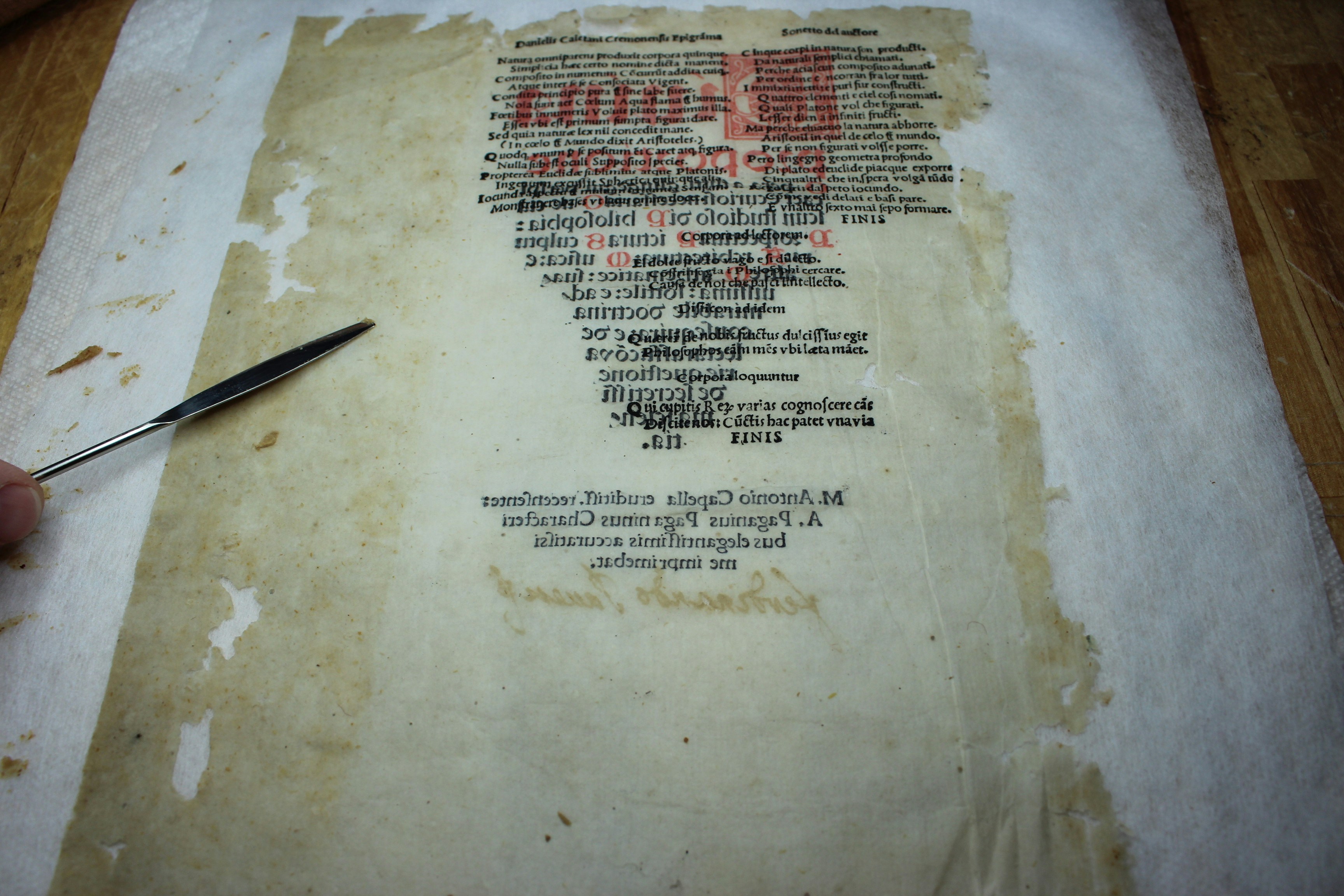 The Will That Vanished — Then Came Back to Haunt a Family 80 Years Later