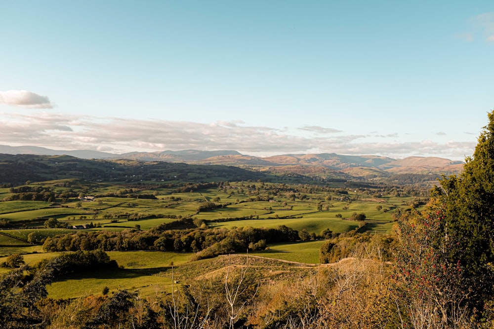 a lush green valley surrounded by mountains under a blue sky