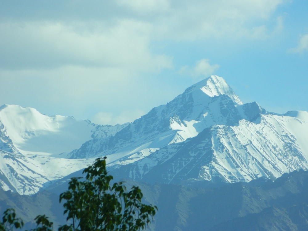 a snow covered mountain with trees in the foreground