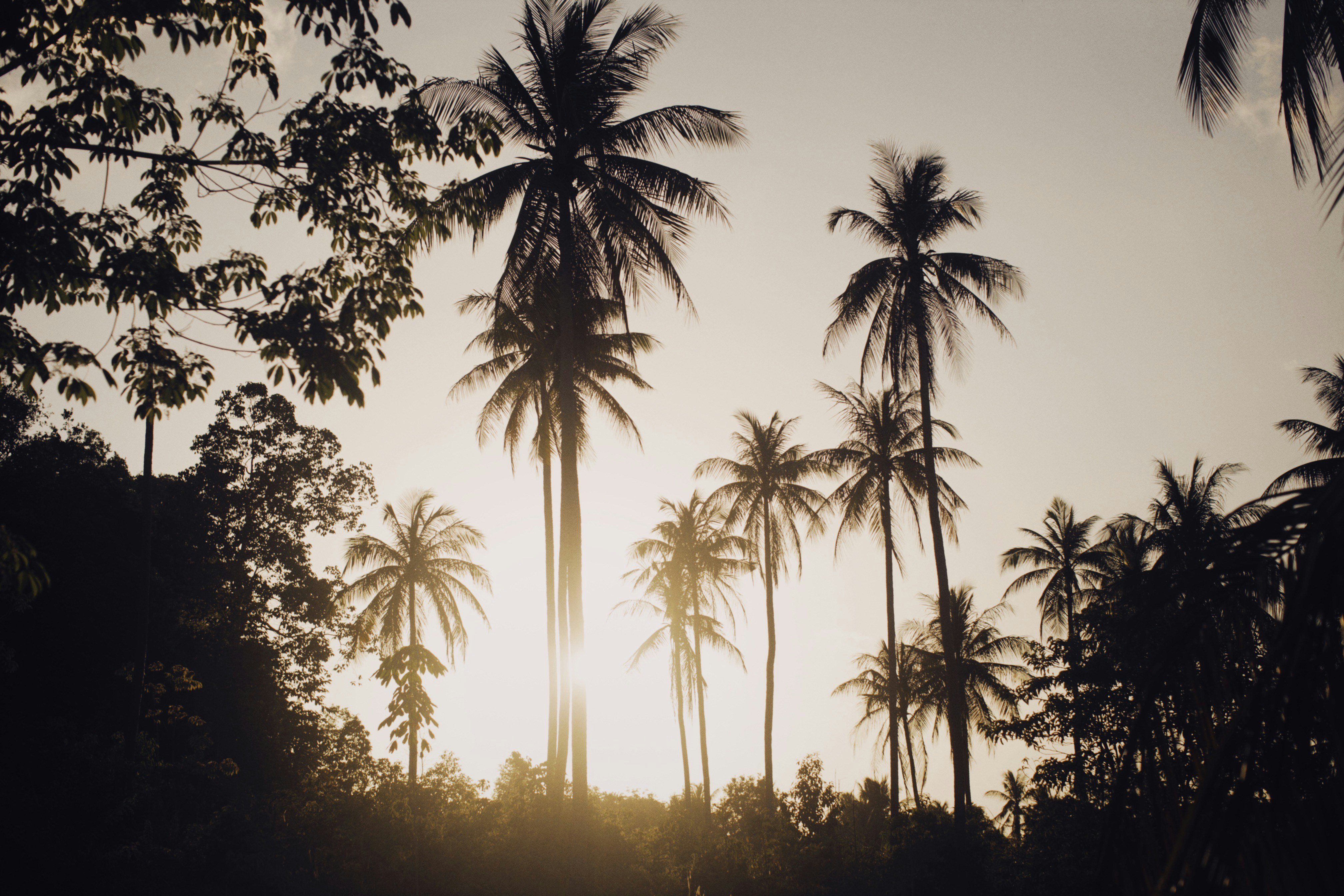 Photo by alexeydemidov