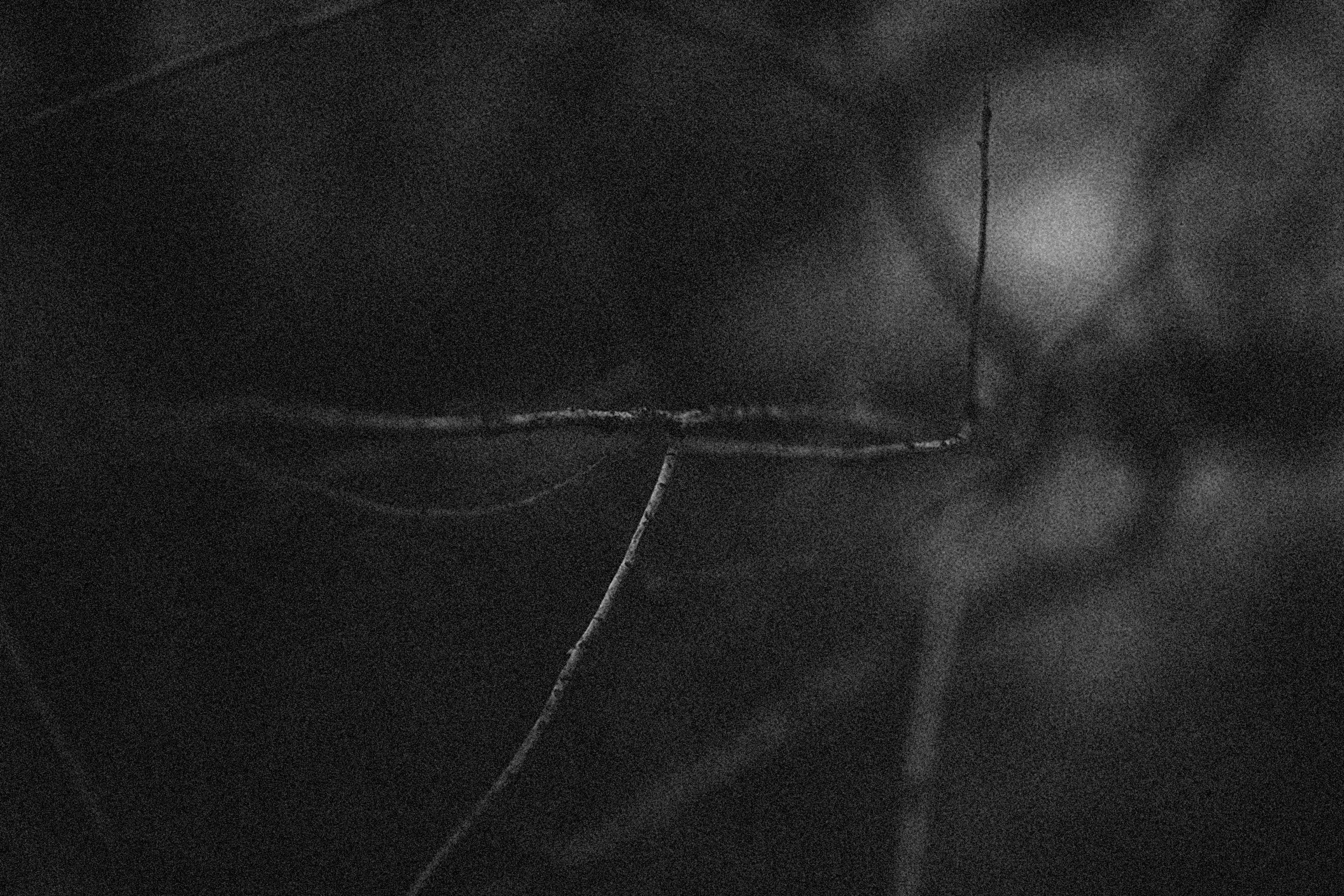 Photo by alexeydemidov