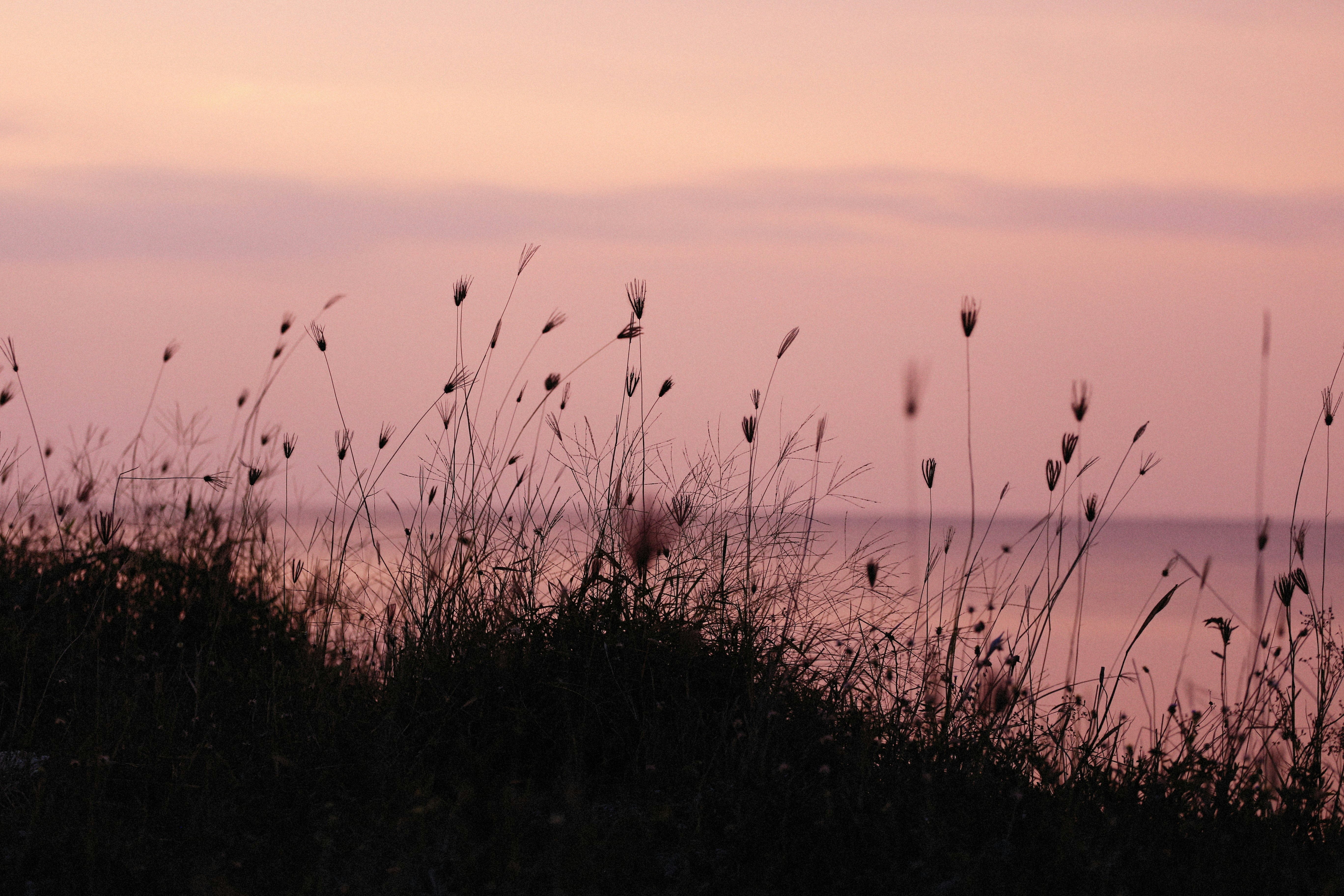 Photo by alexeydemidov