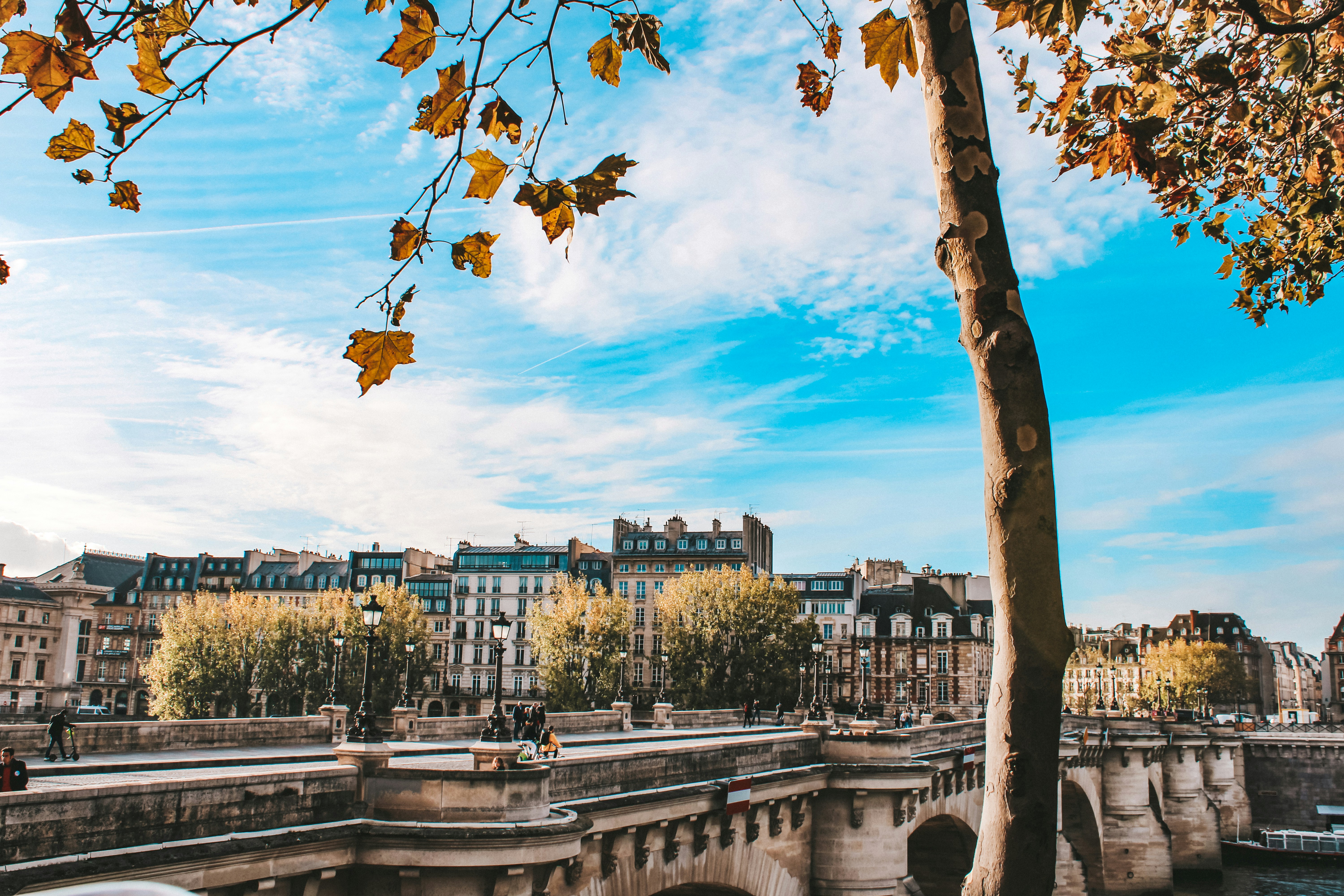 postcard of Paris