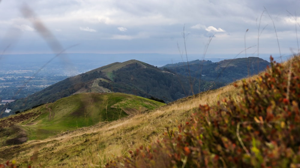 a grassy hill with a view of a city in the distance