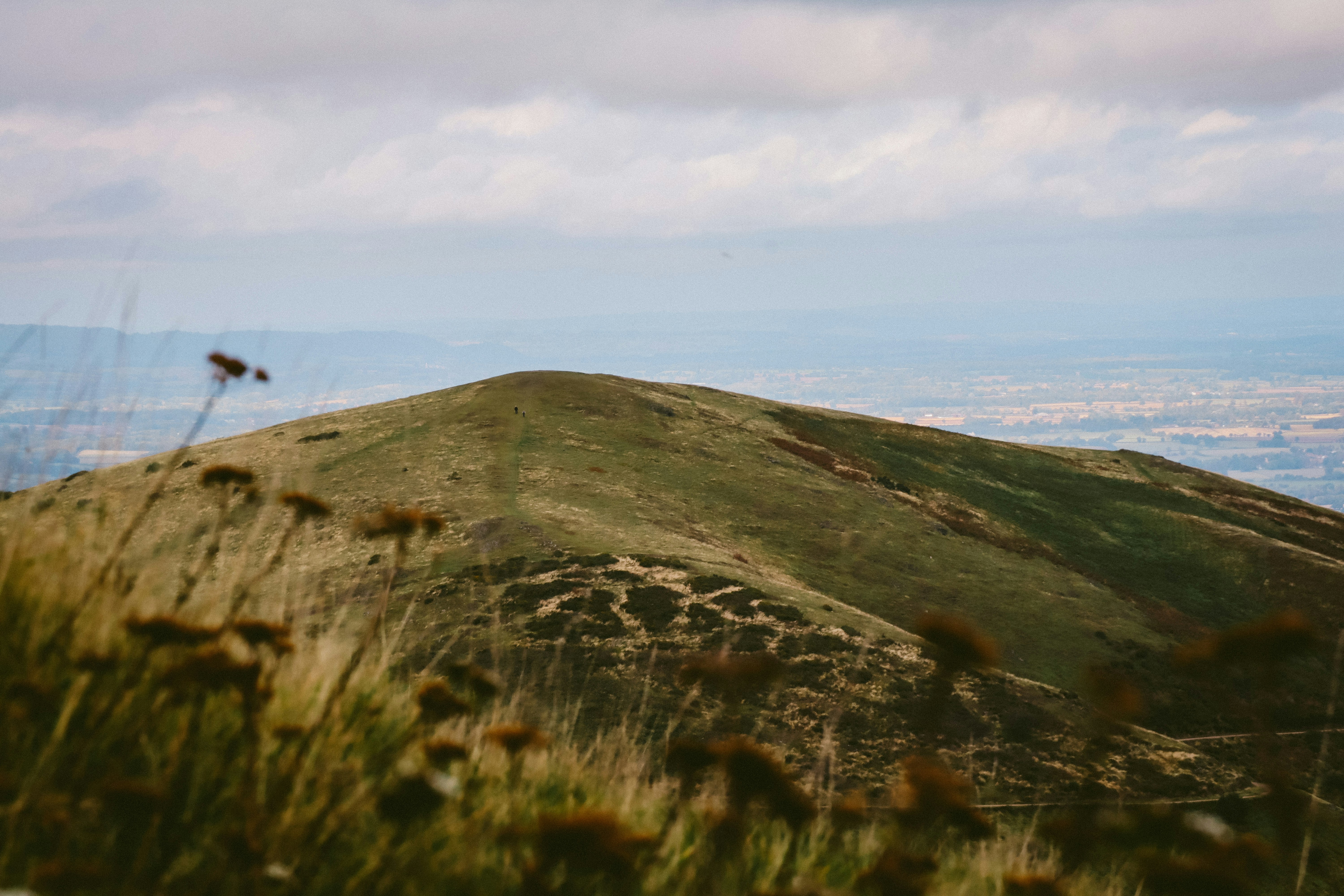 Photo by damiankarpinski_photo