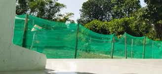 A visual representation of a perimeter shield with gentle light barriers protecting a vibrant green zone.