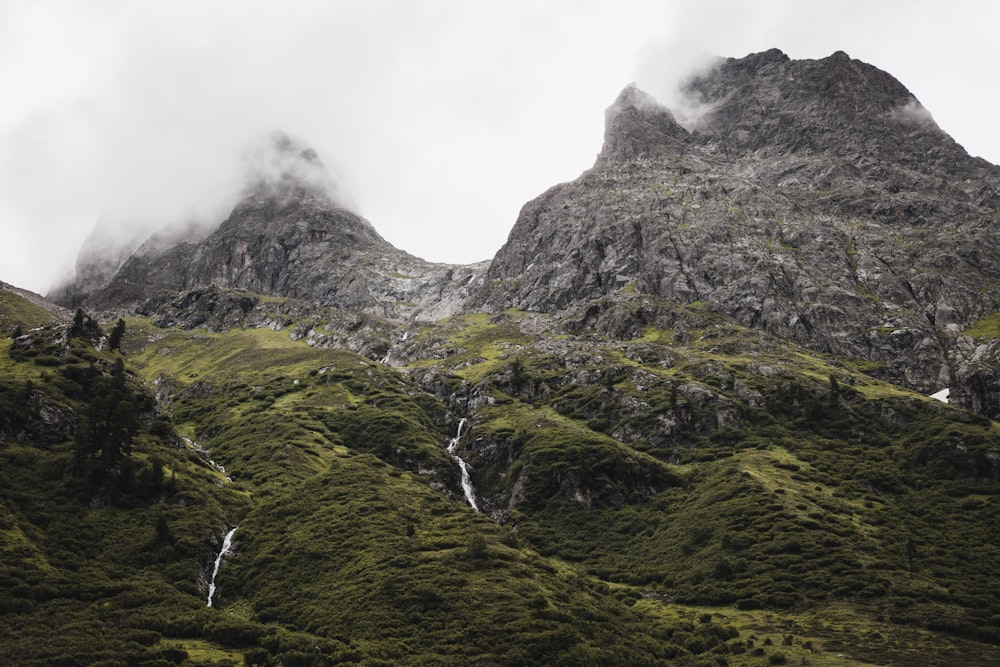 a close up of a hillside with trees and a mountain in the background