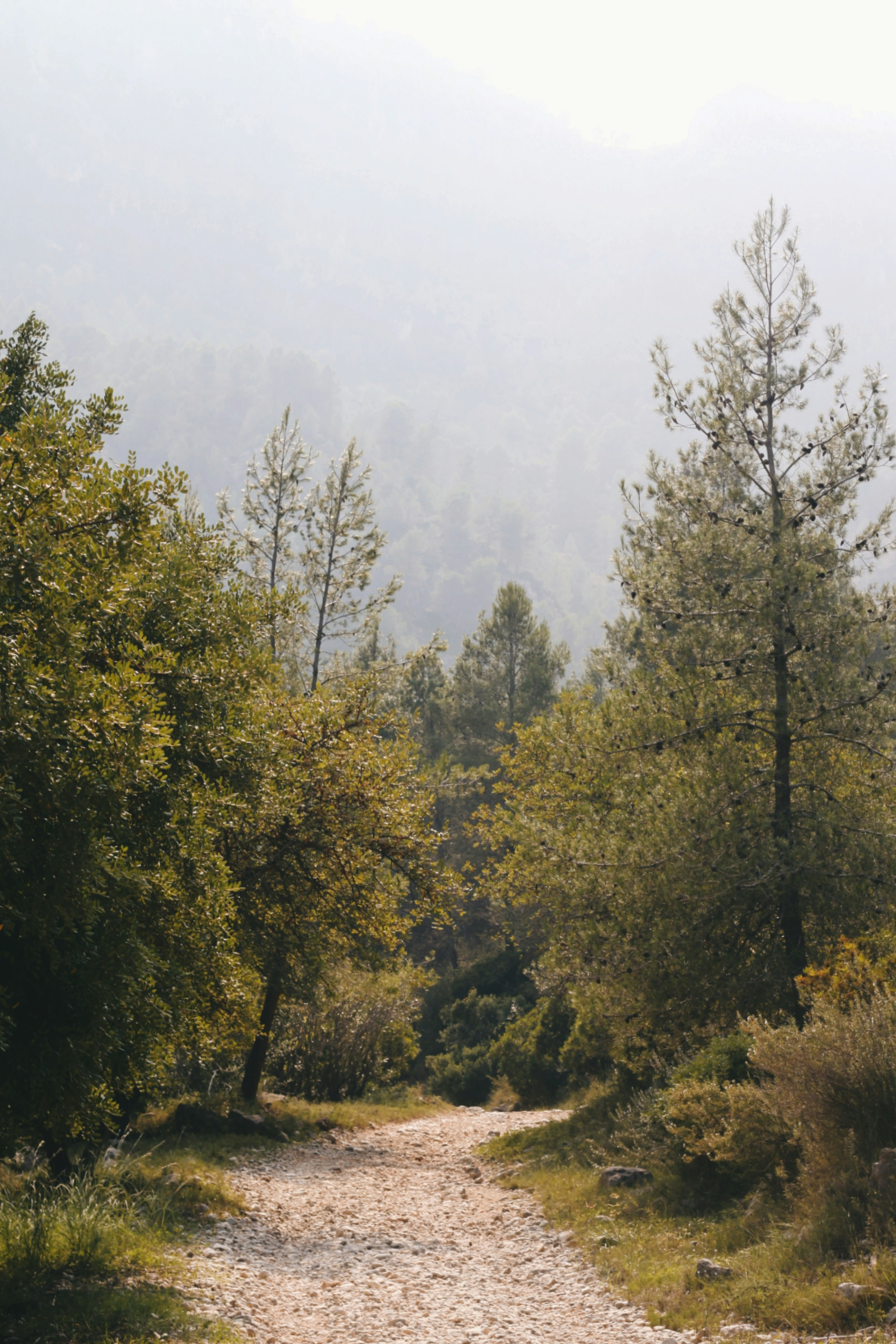 Photo by ispywithmylittleeye