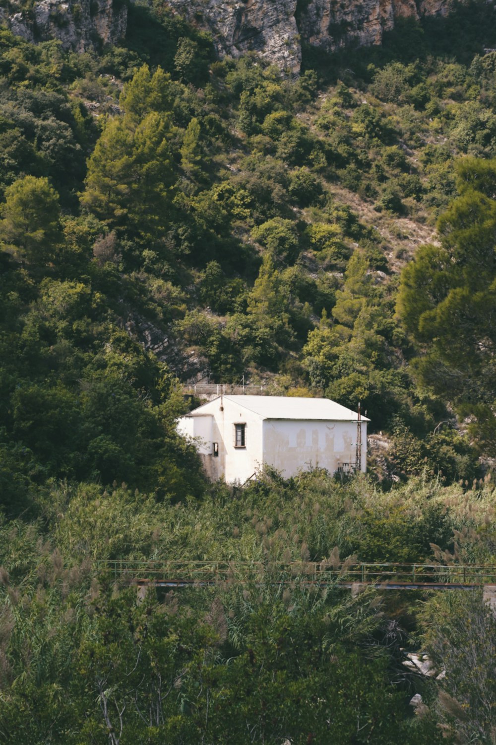 a white building sitting on top of a lush green hillside