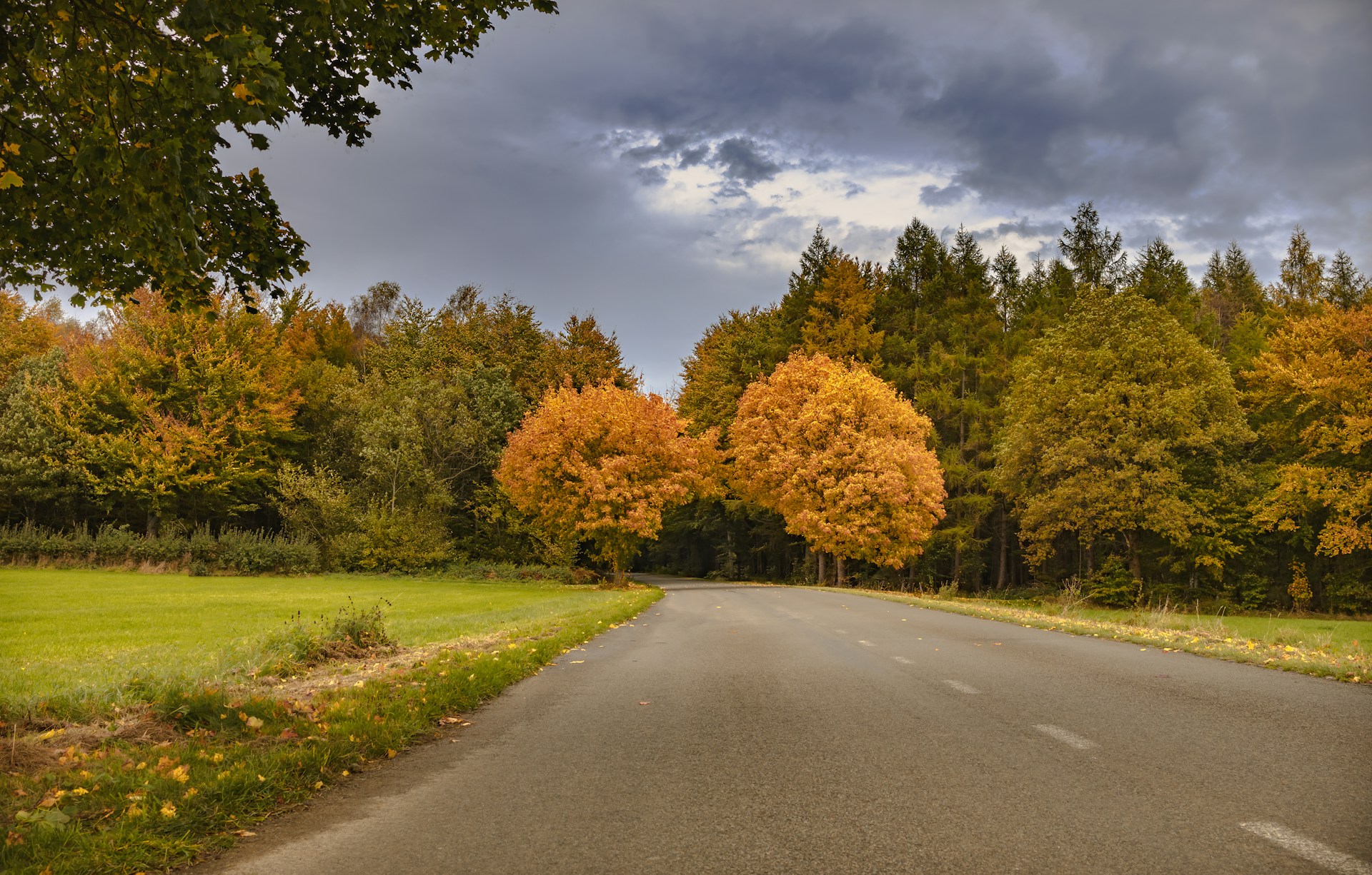 an empty road surrounded by trees and grass