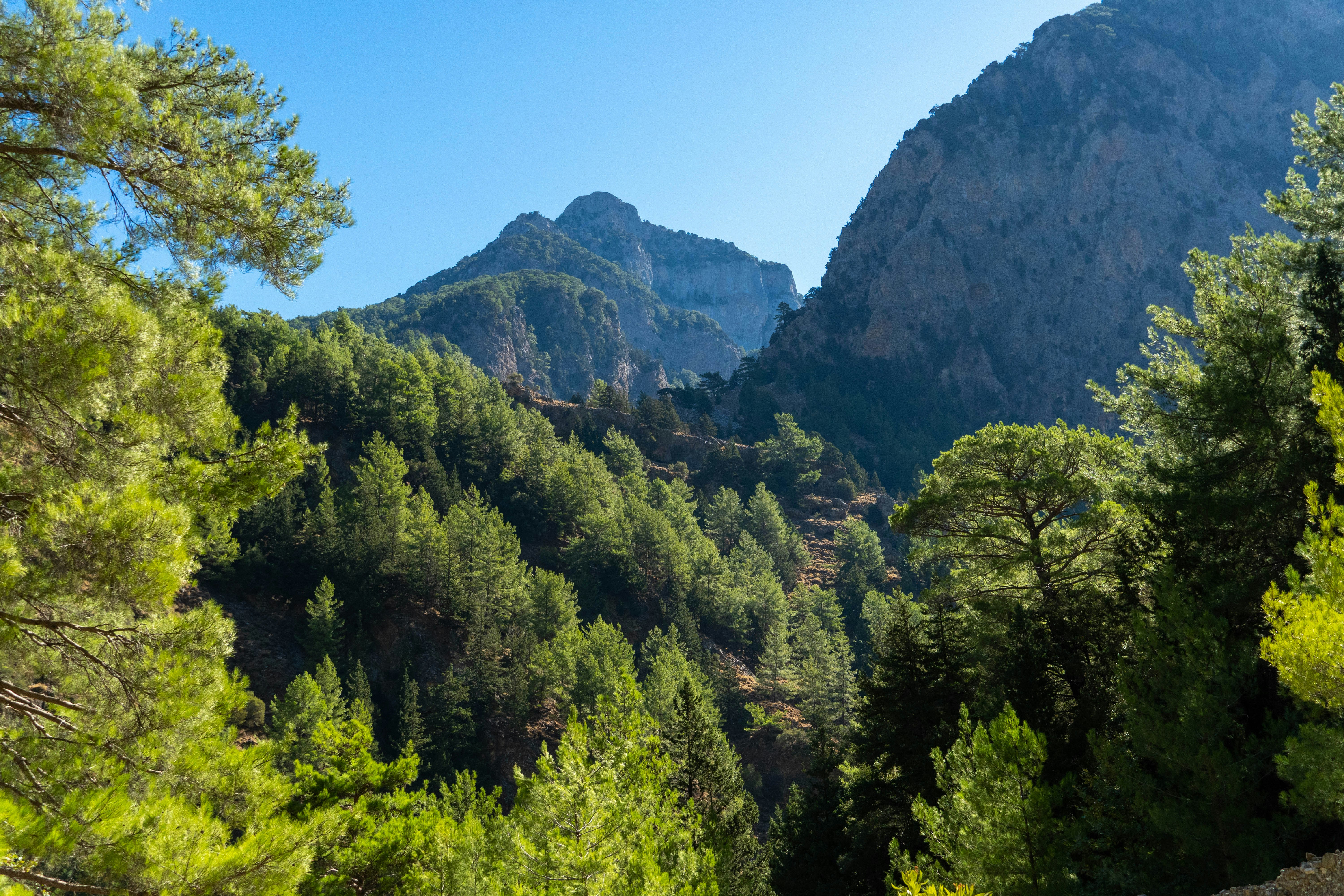 Photo by lostillusion