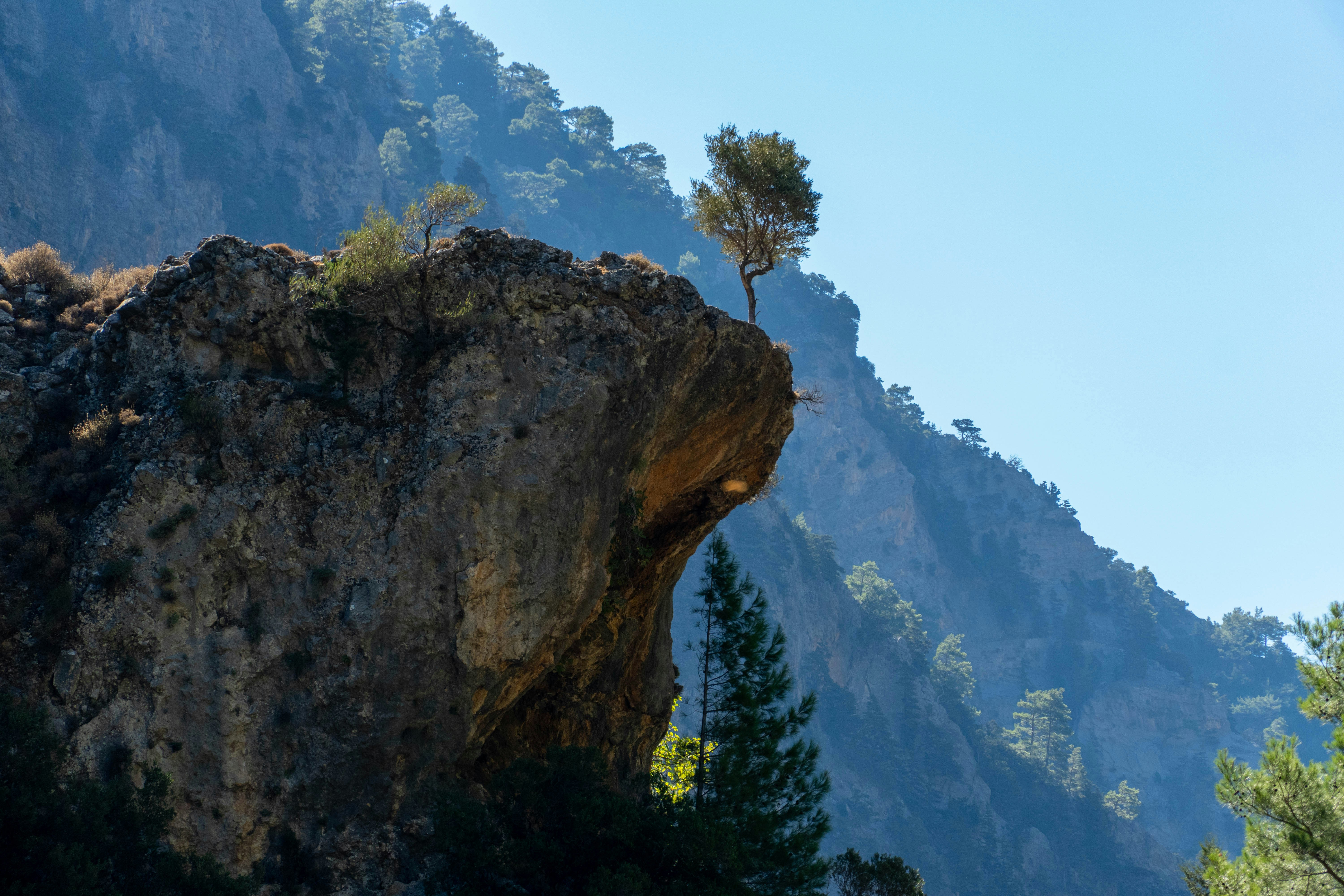 Photo by lostillusion