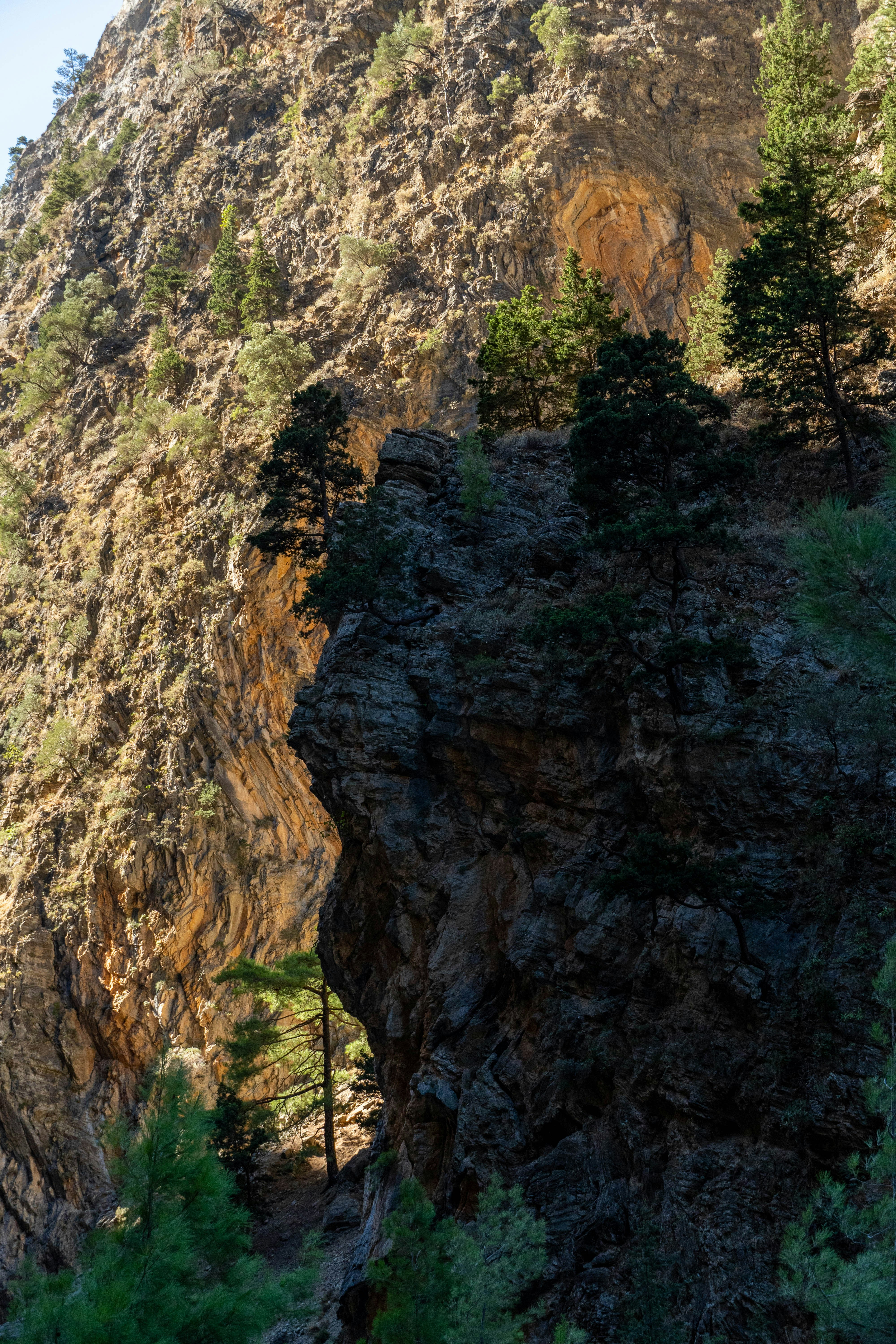 Photo by lostillusion