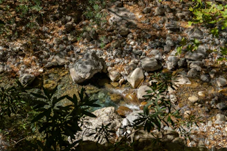 Поточе вода, преминаващо през градински алпинеум, изпълнен с естествени камъни