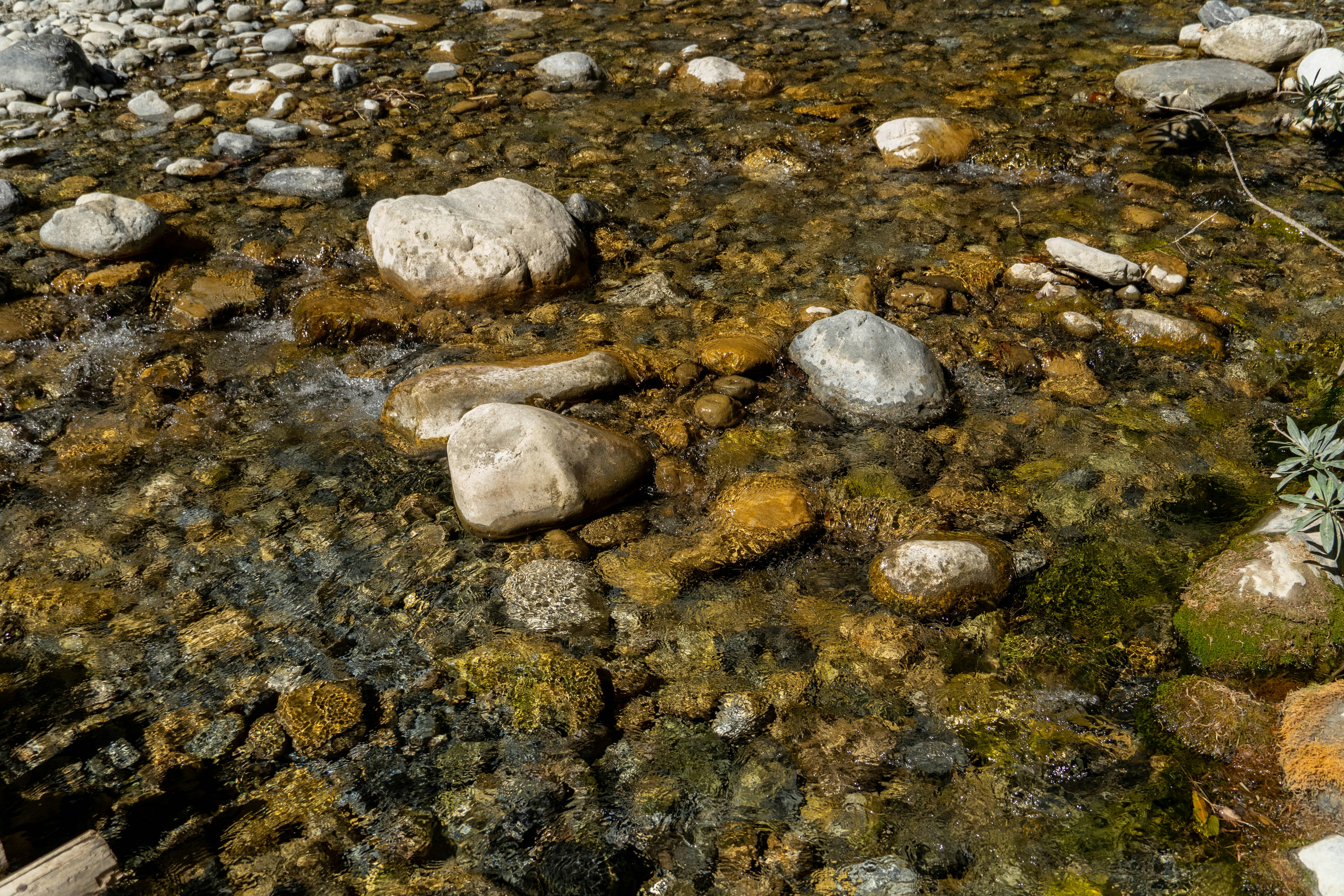 Photo by lostillusion