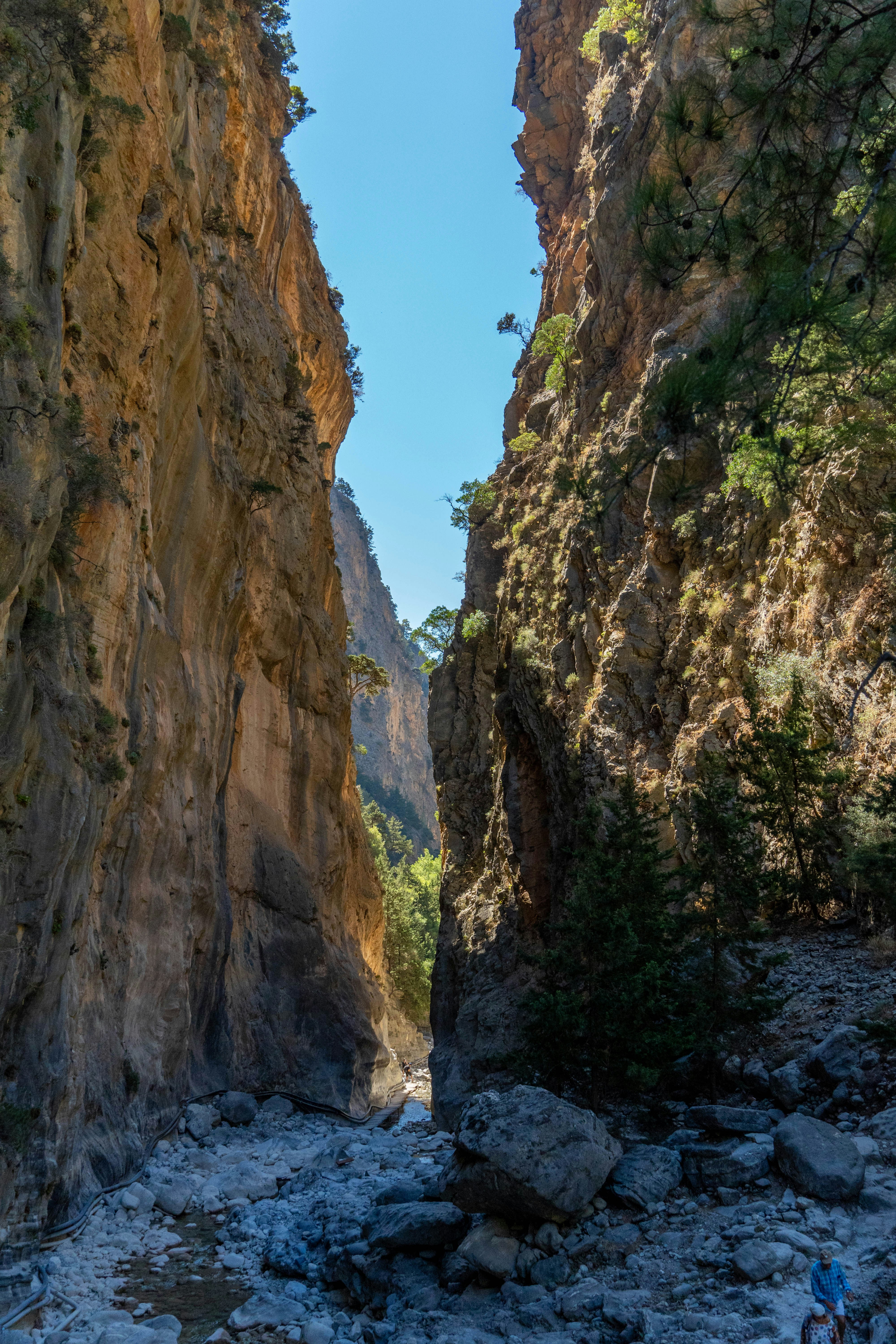 Photo by lostillusion