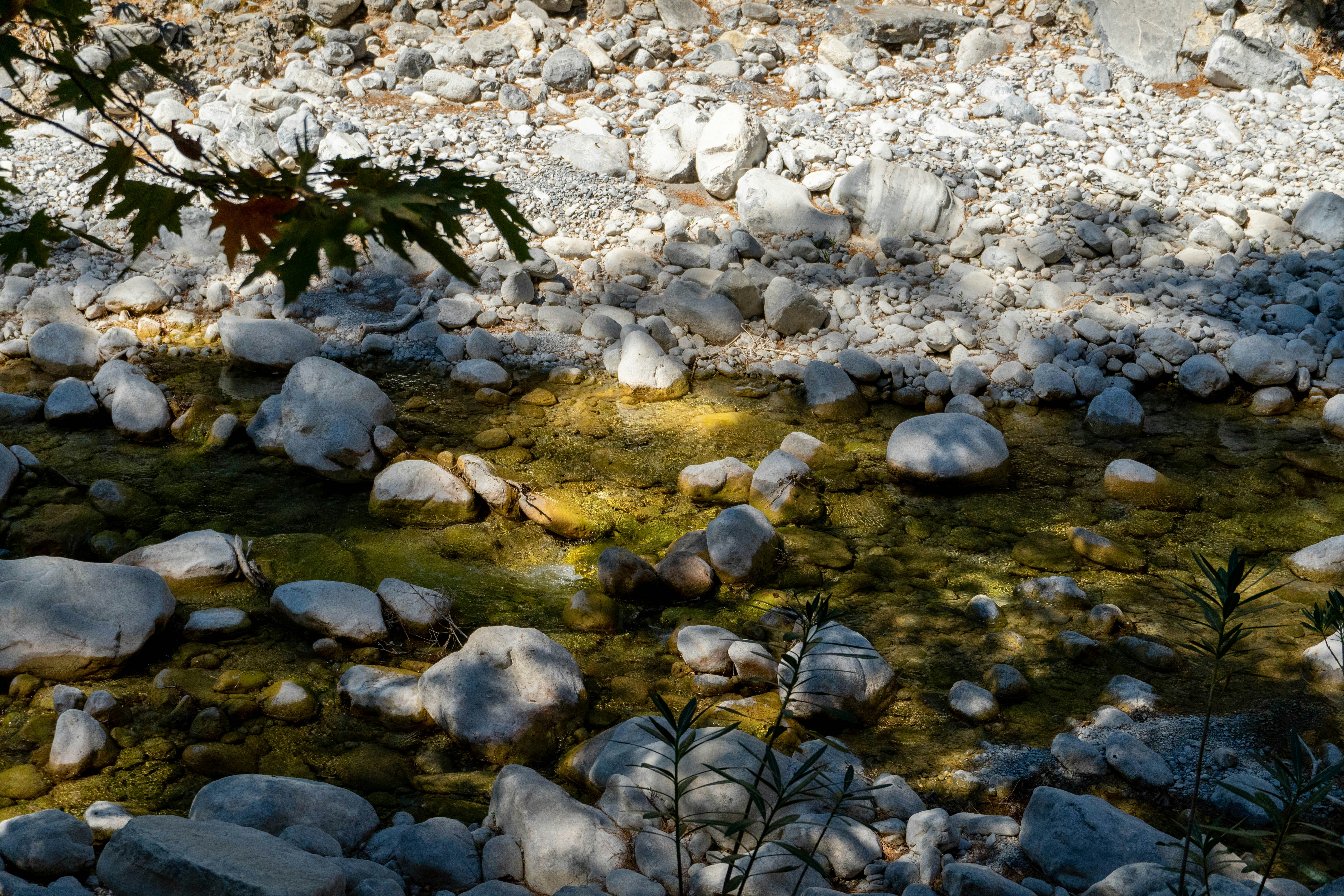 Photo by lostillusion