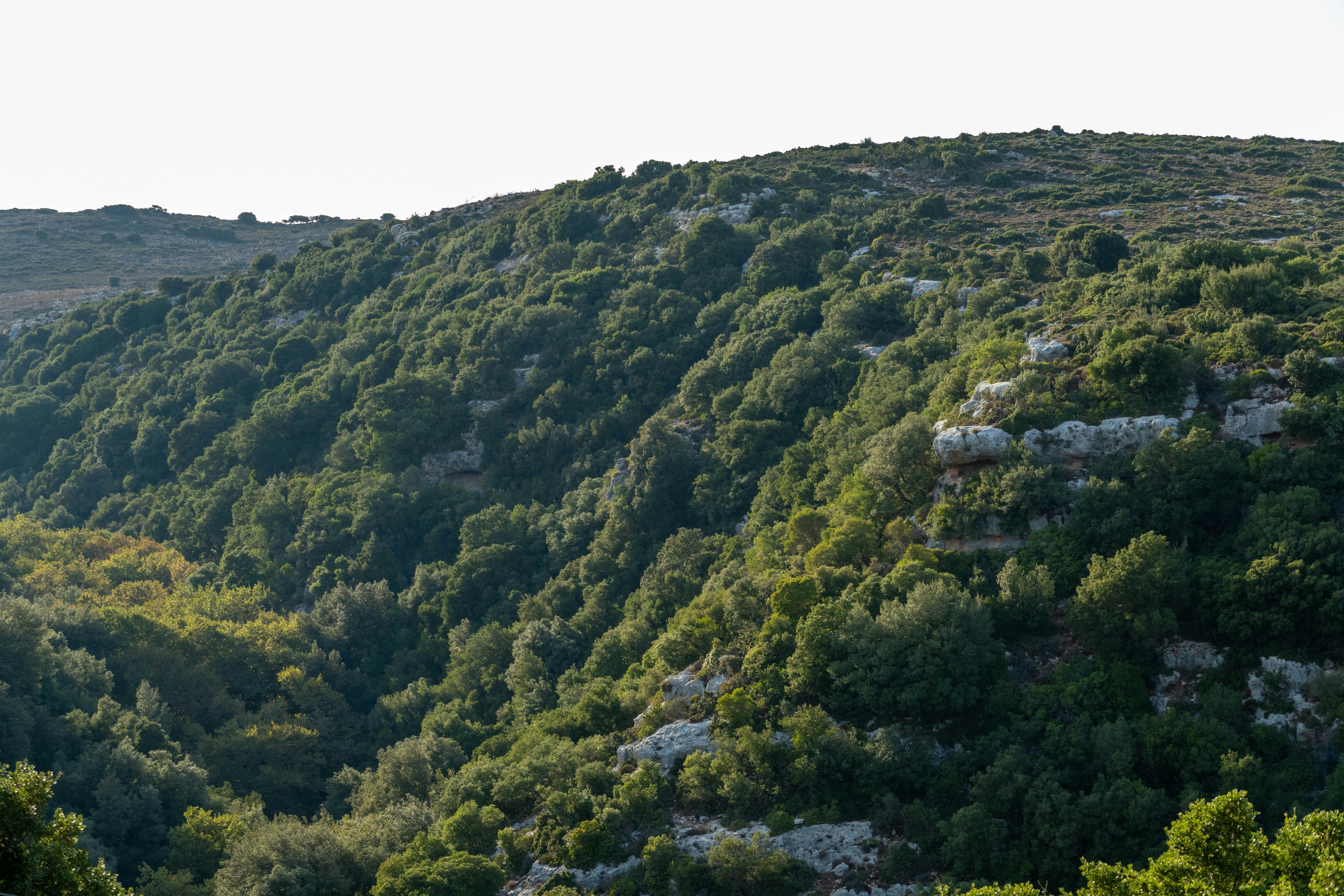 Photo by lostillusion