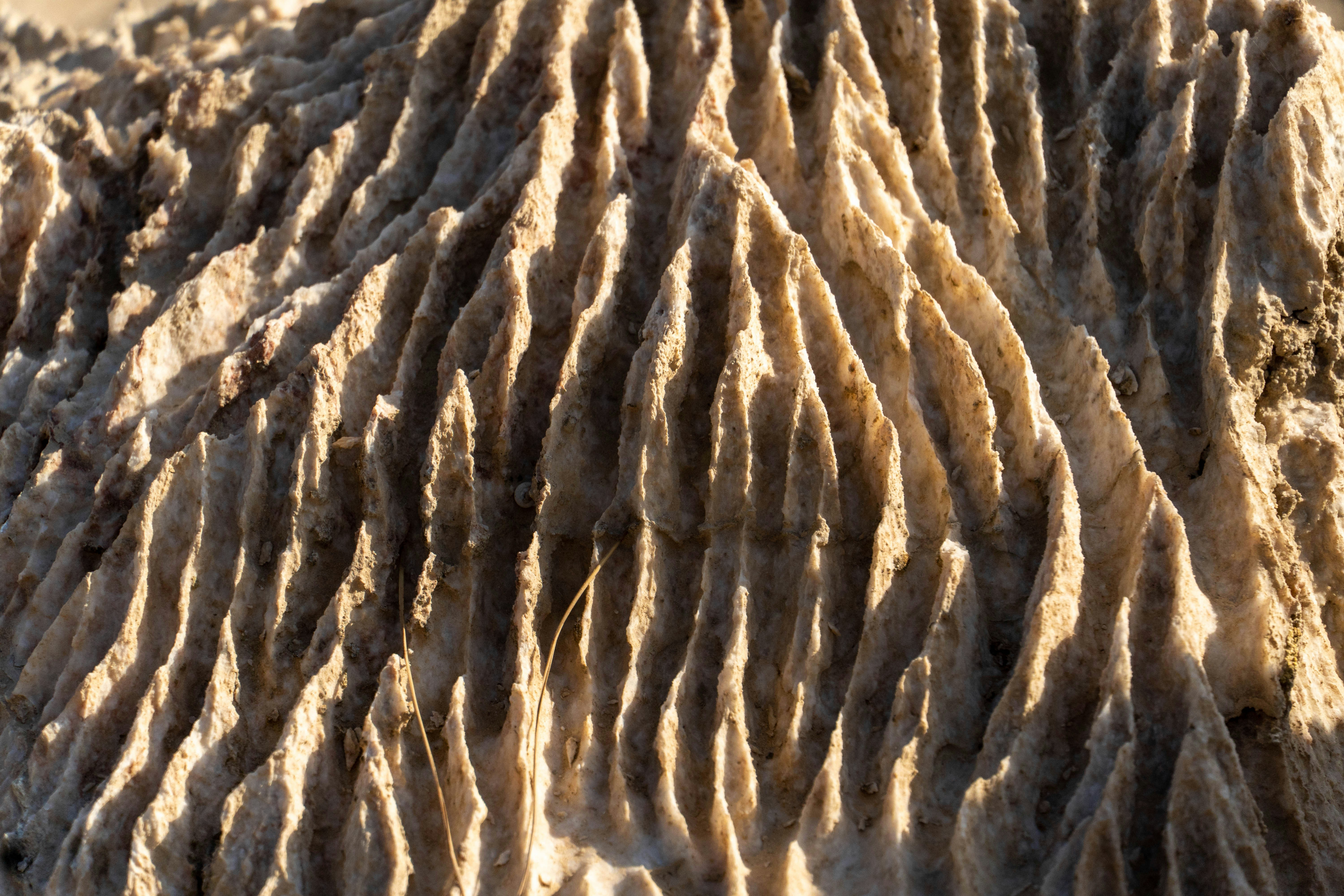 Photo by lostillusion