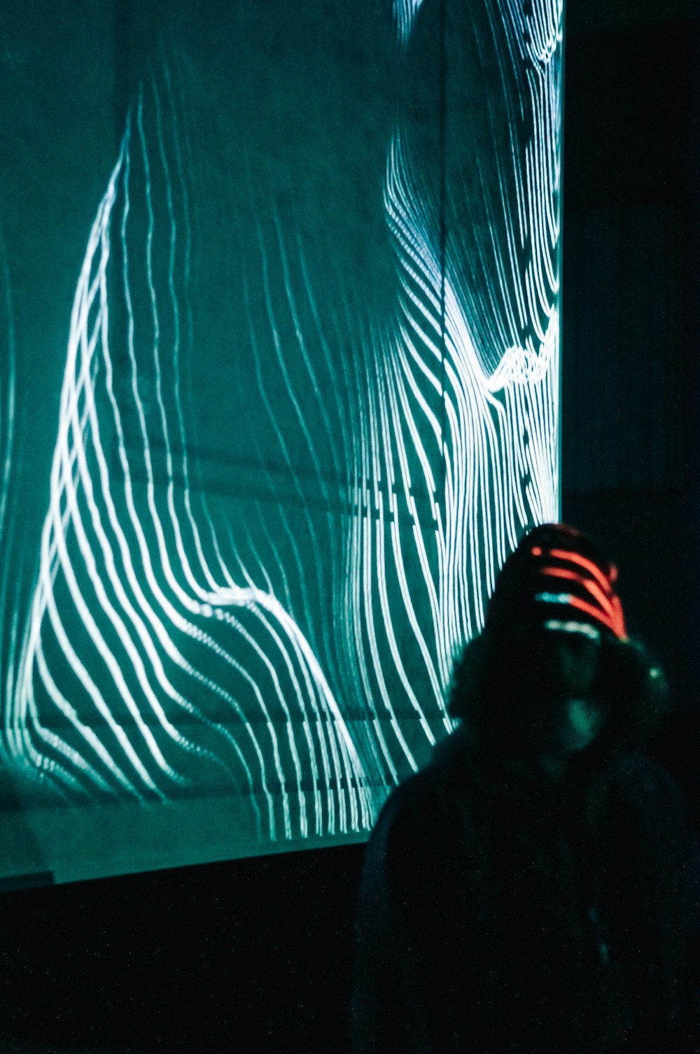 a person standing in front of a projection of a zebra