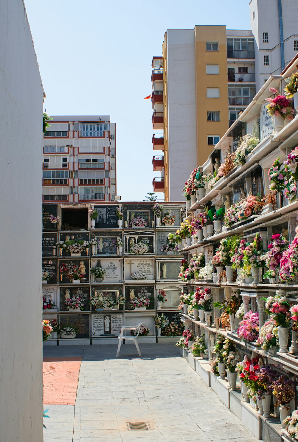 a bunch of shelves filled with lots of flowers