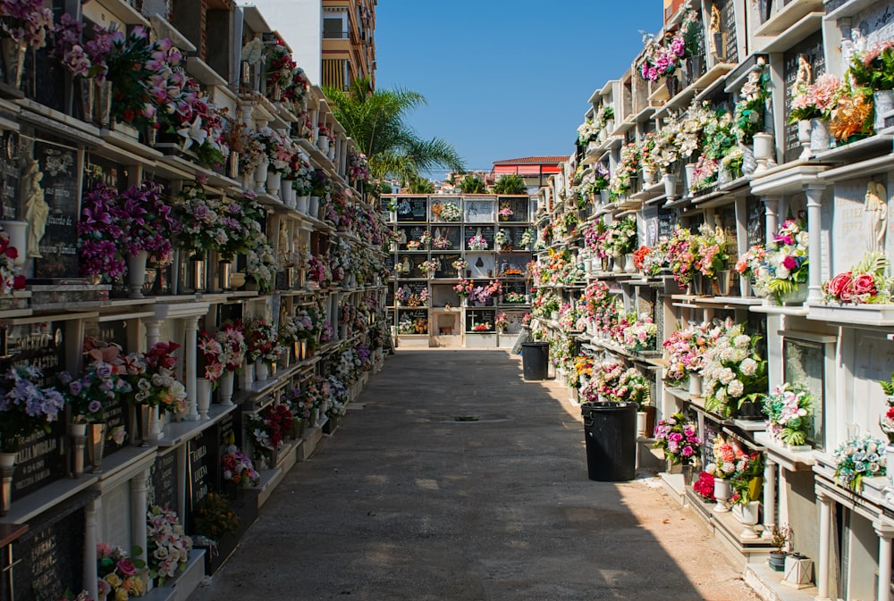 une longue rangée d’étagères remplies de fleurs