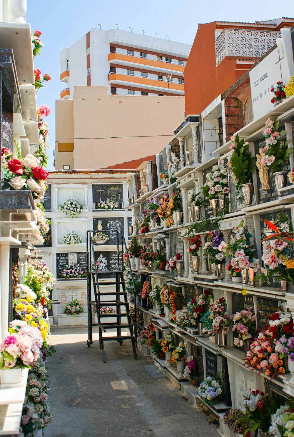 a bunch of flowers that are on a shelf