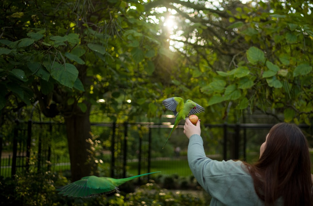 a woman feeding a green bird in a park