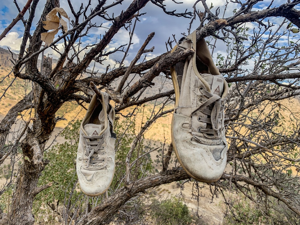 a pair of dirty shoes hanging from a tree