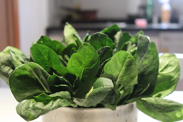 Fresh spinach leaves