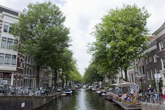 Amsterdam house market and law  AAA agency