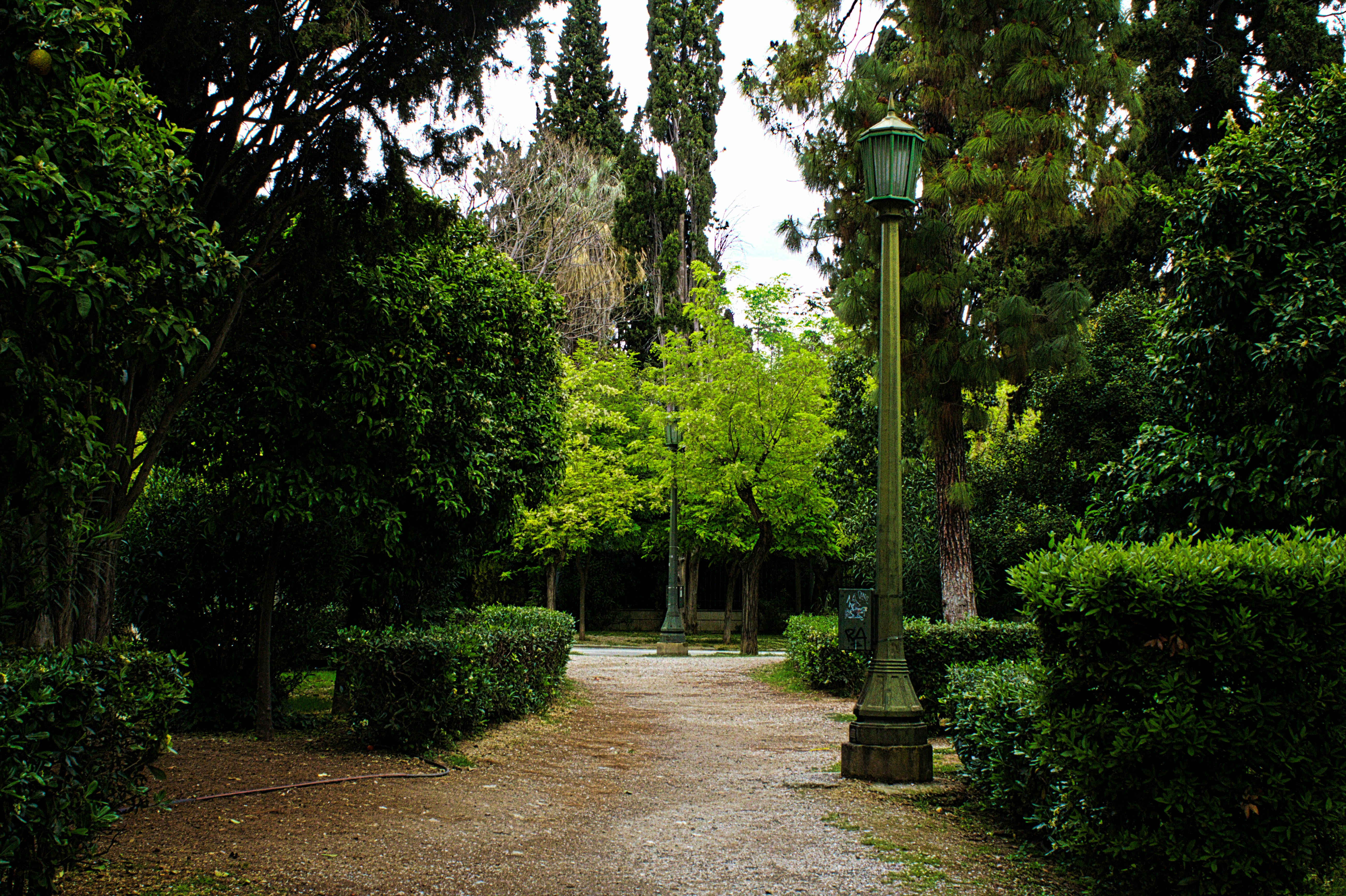 a path in a park with a lamp post in the middle