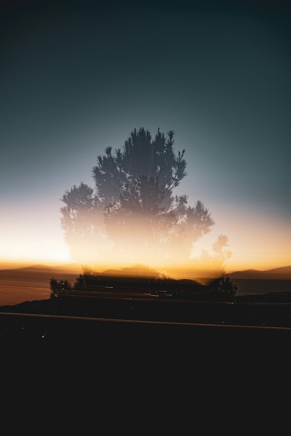 a train traveling through a rural countryside at sunset