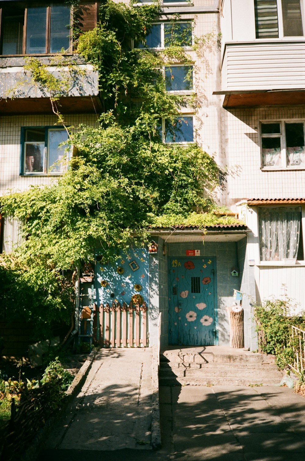 a building with a blue door and a tree in front of it