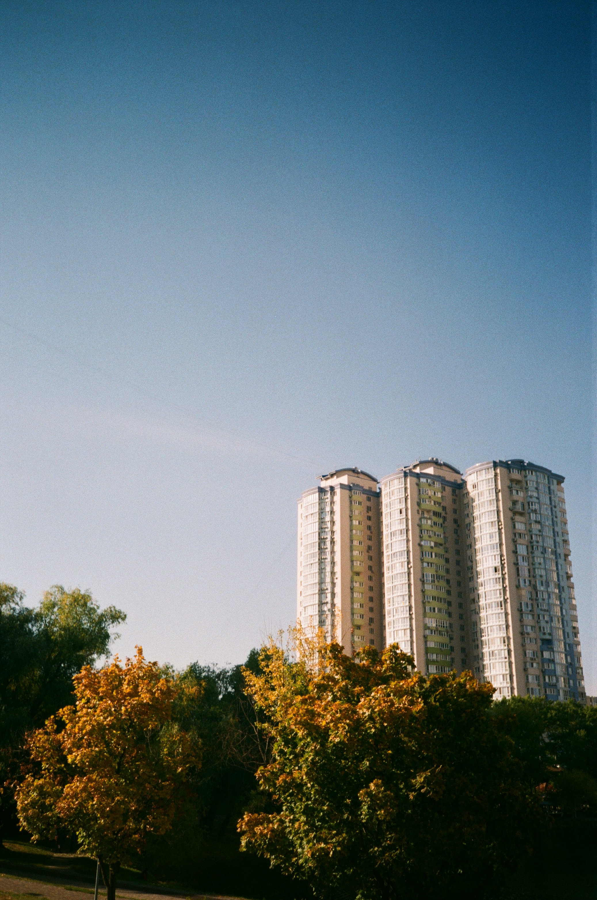 Photo by zhashkevych