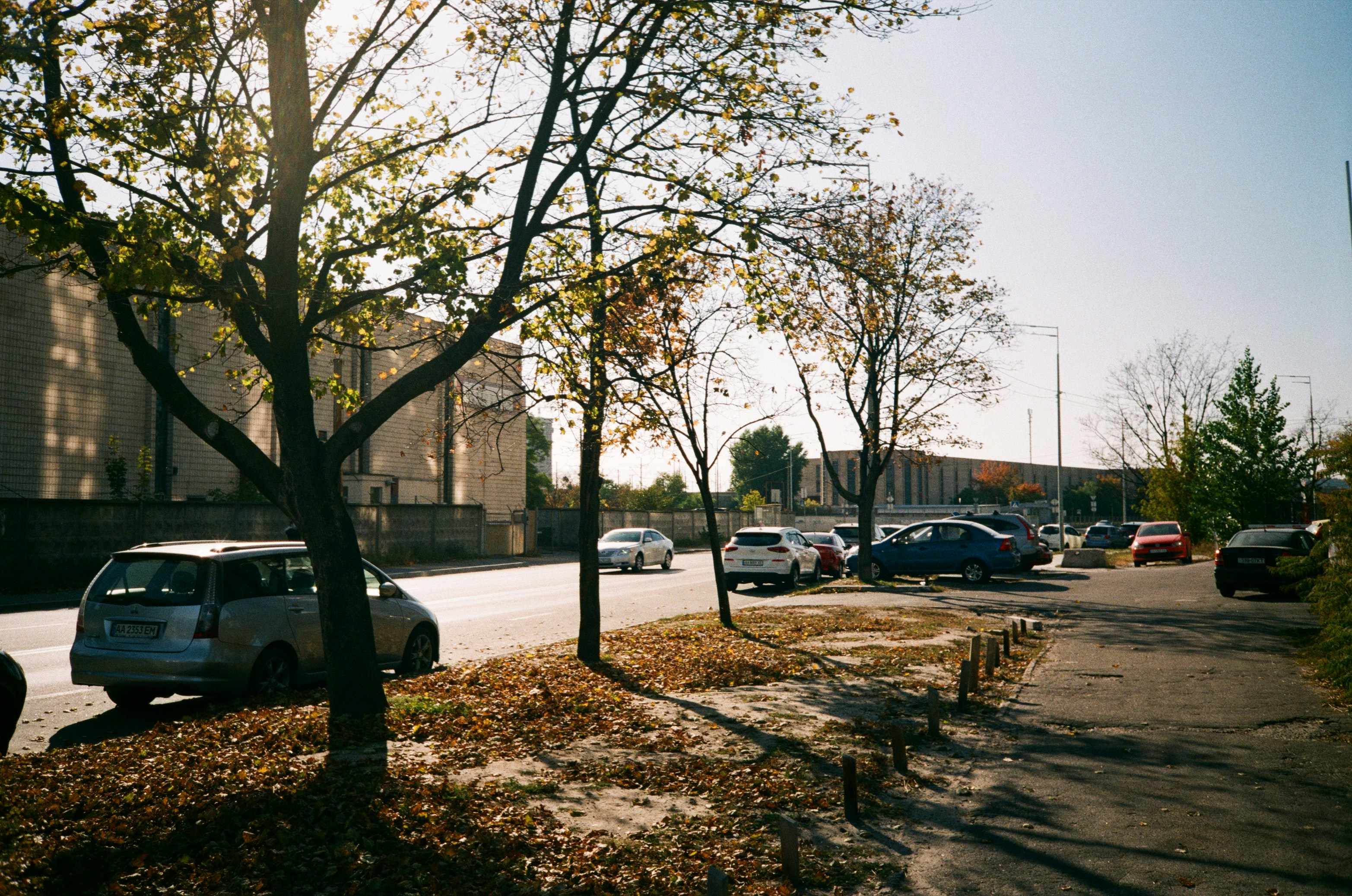 Photo by zhashkevych