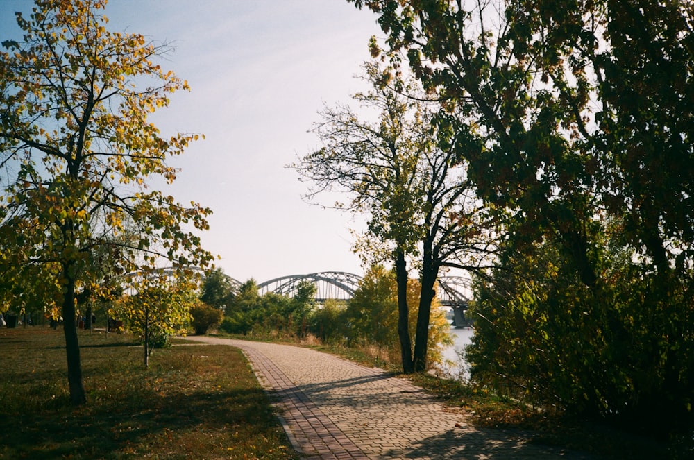 a path in a park with a bridge in the background