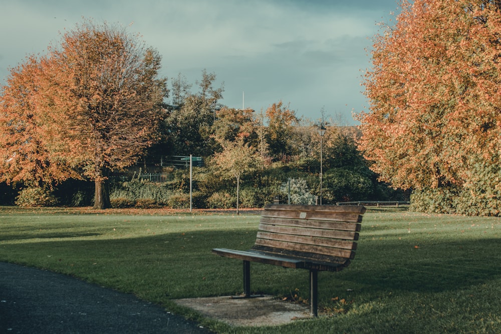 公園の真ん中に座っている木製のベンチ