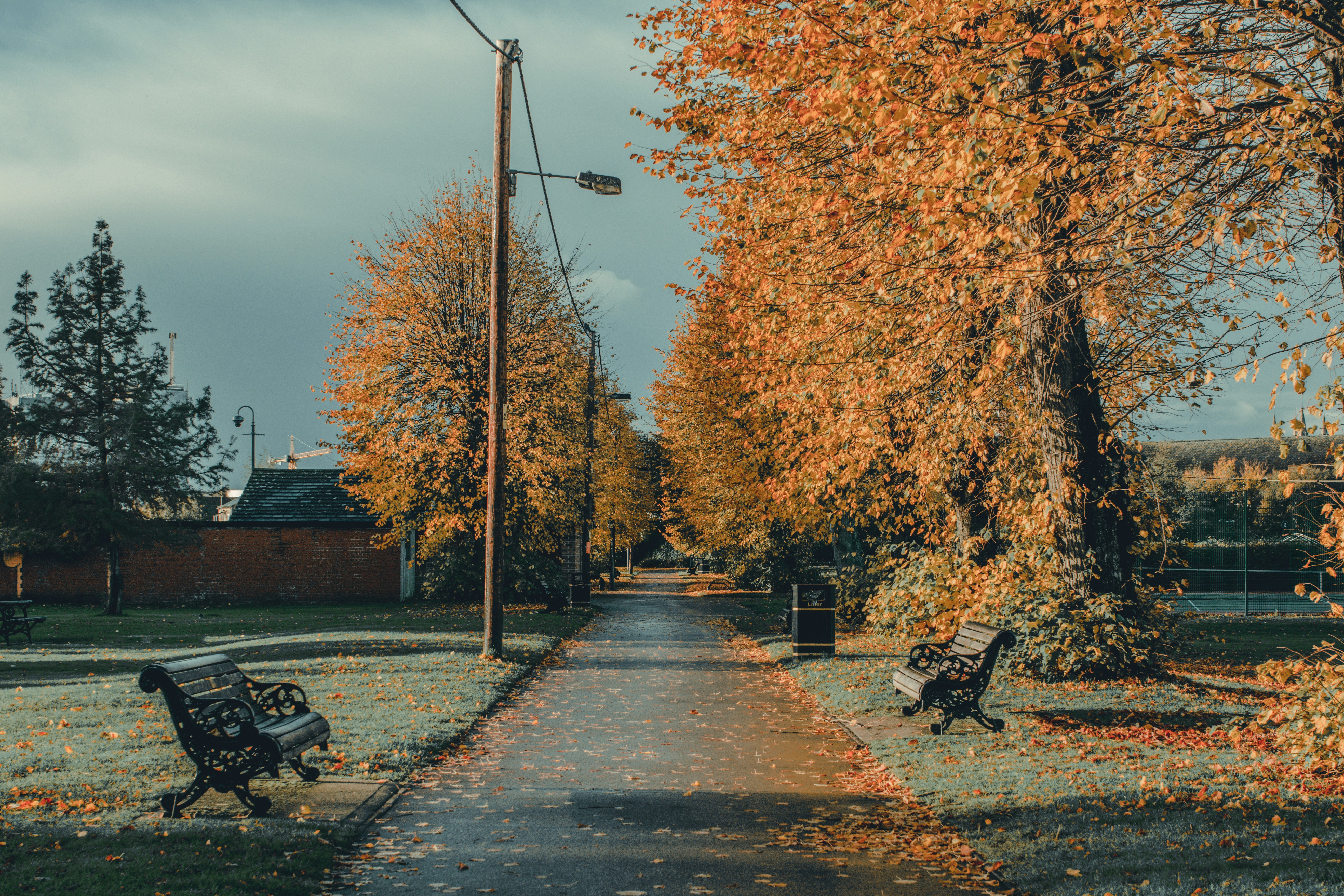 a pathway lined with benches next to trees