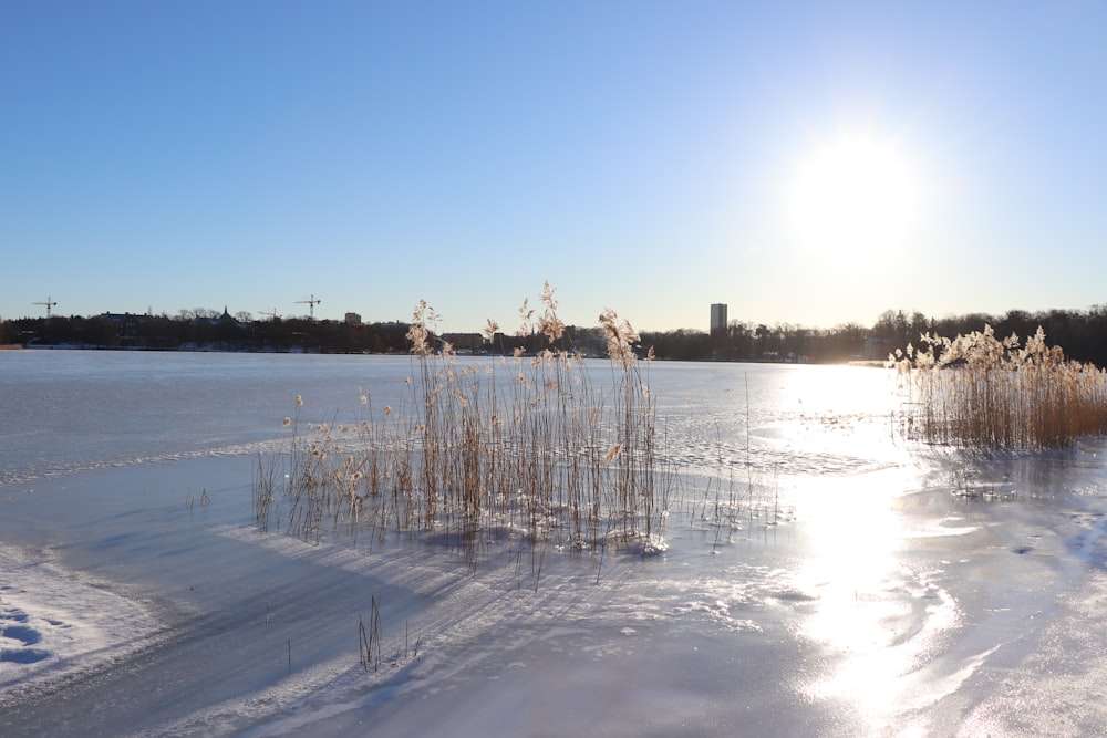 the sun is shining over a frozen lake